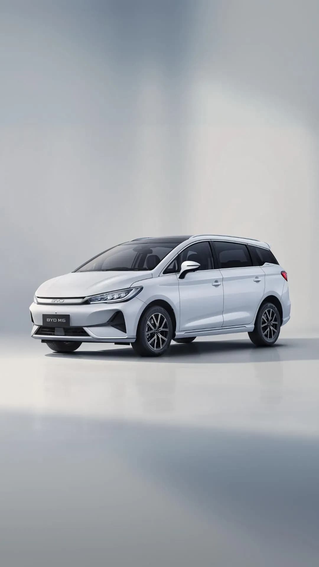 BYD M6